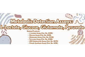 Metabolic Detection Assays
